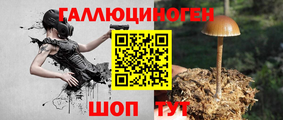 Галлюциногенные грибы мухоморы Саратов
