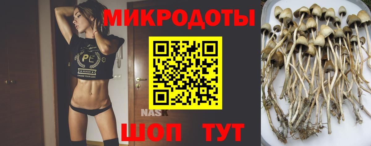 Саратов  Галлюциногенные грибы мухоморы  Вход с VPN  купить наркотики цена  Псилоцибиновые грибы MAGIC MUSHROOMS 